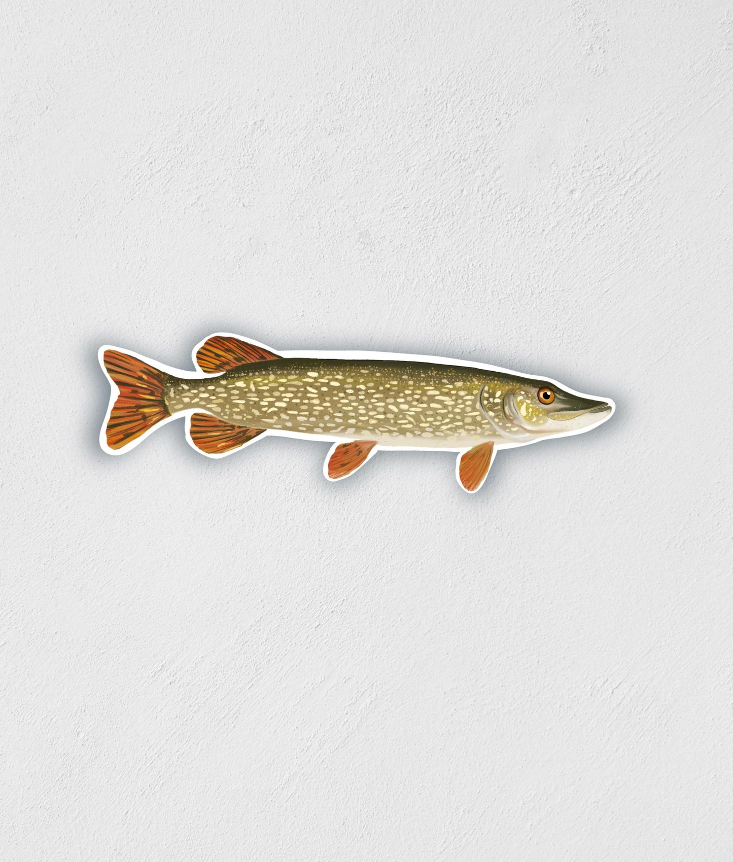 Northern Pike Sticker: Waterproof Fish Decal (3.6" x 1.2")