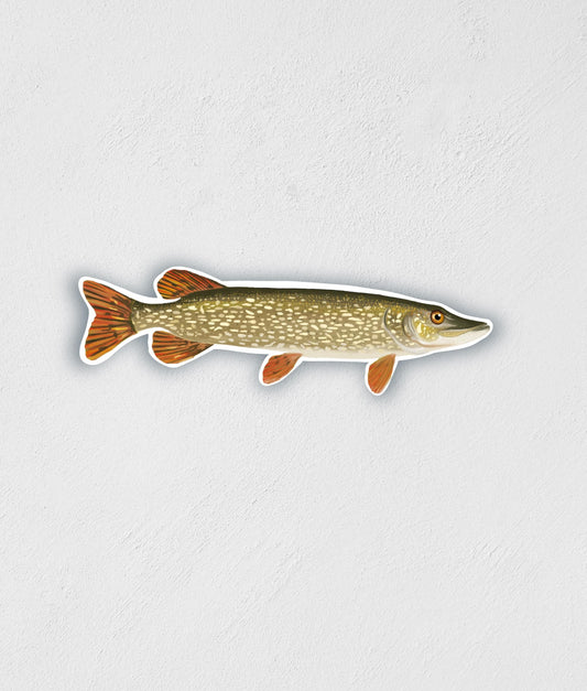 Northern Pike Sticker: Waterproof Fish Decal (3.6" x 1.2")
