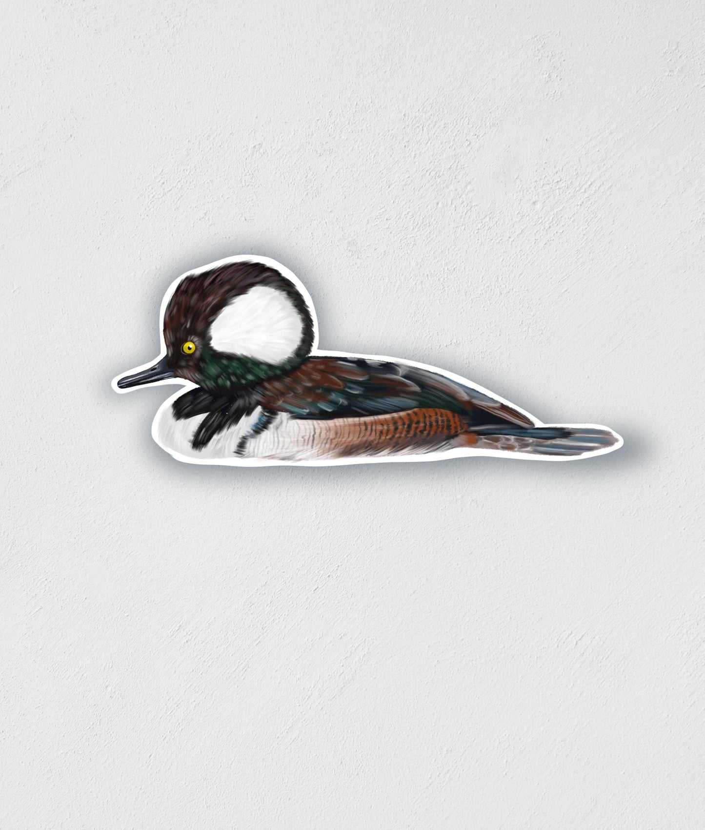Hooded Merganser Sticker: Waterproof Duck Decal (3.7" x 1.5")