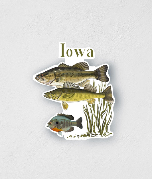 Iowa Fish Sticker: Hand-Drawn Waterproof Fishing Decal