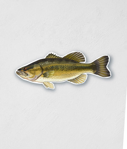 Largemouth Bass Sticker: Waterproof Lake Fish Decal