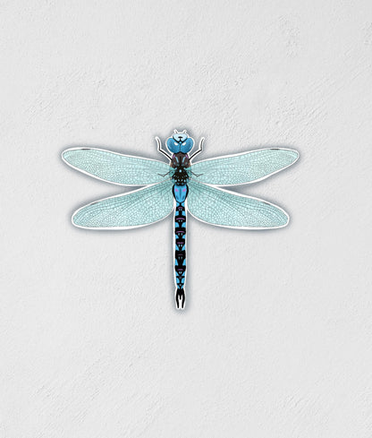Dragonfly Sticker: Waterproof Outdoorsy Decal