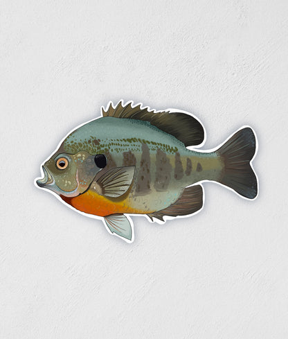 Sunfish Sticker: Hand-Drawn Waterproof Fishing Decal