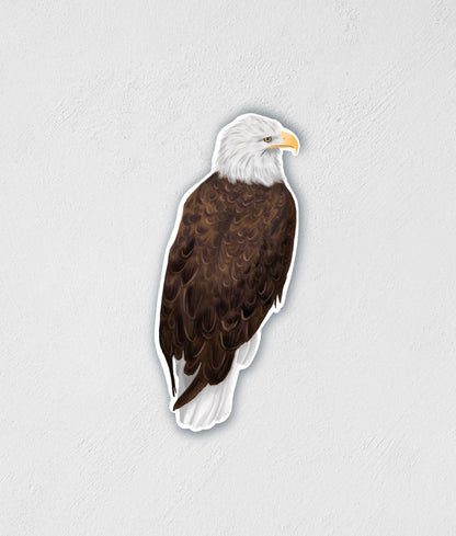 Bald Eagle Sticker: Waterproof Decal for Laptop, Car, and Water Bottle