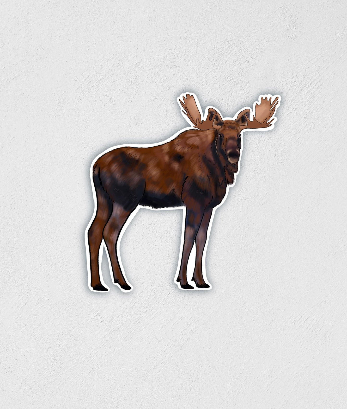 Waterproof Moose Sticker: Hand-Drawn Forest Animal Decal