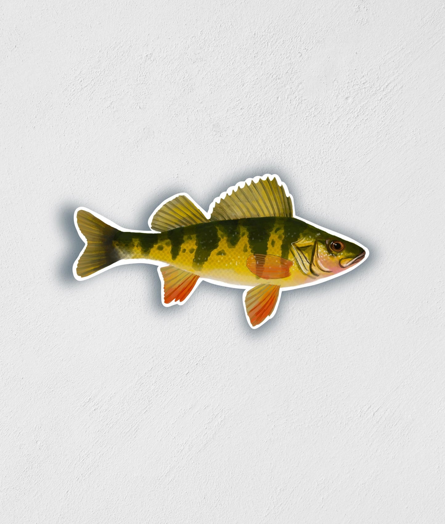 Yellow Perch Sticker: Waterproof Lake Fish Decal