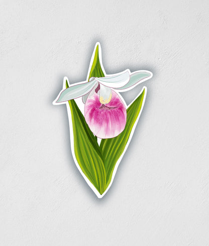 Lady Slipper Sticker: MN State Flower, Waterproof Decal