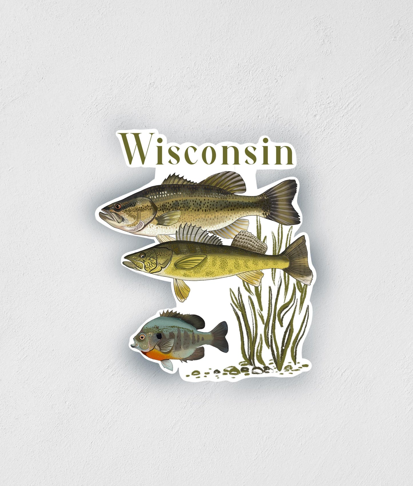 Wisconsin Fish Sticker: Hand-Drawn Waterproof Fishing Decal