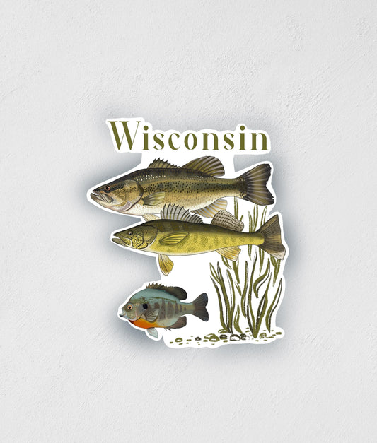 Wisconsin Fish Sticker: Hand-Drawn Waterproof Fishing Decal