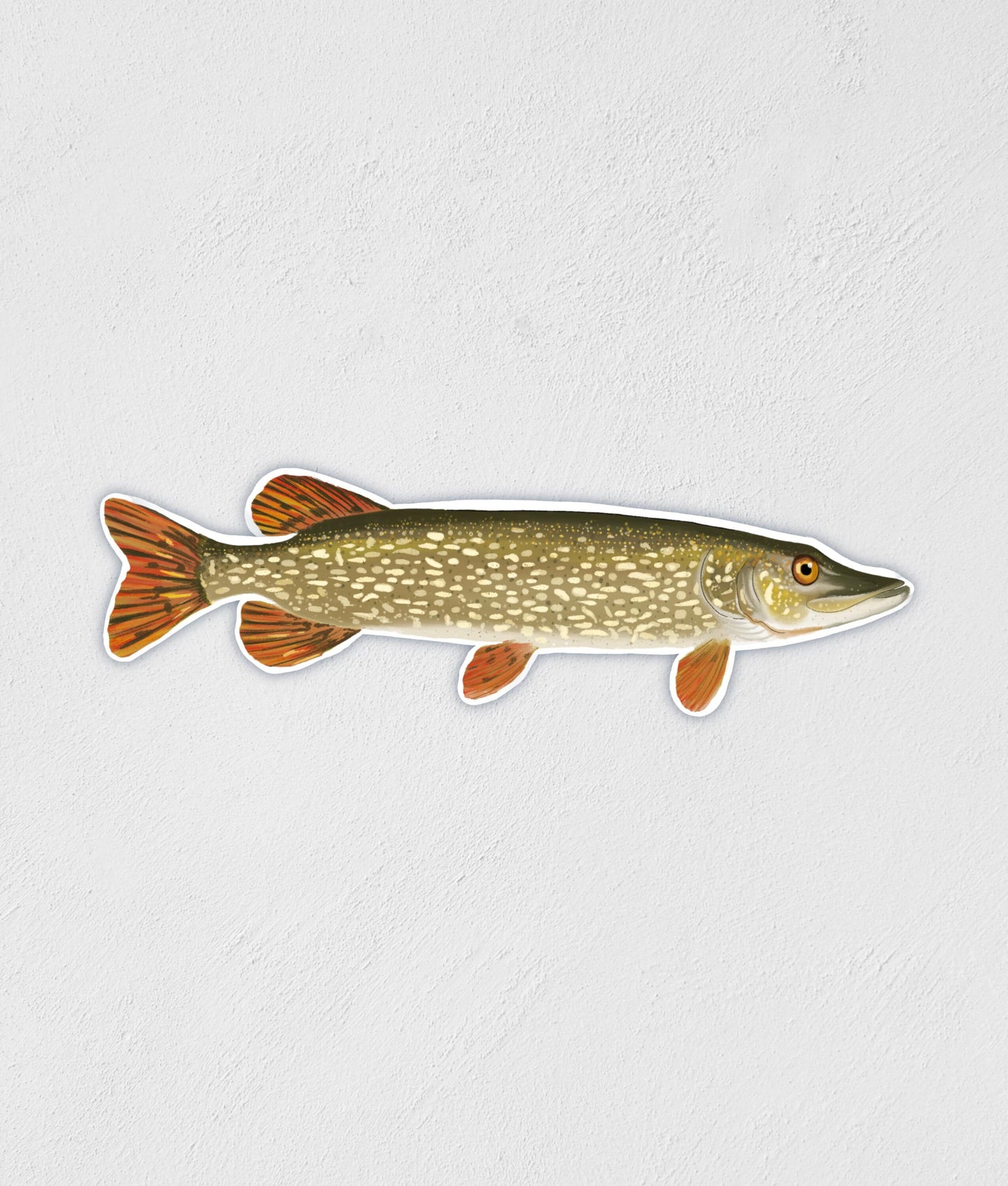 Northern Pike Sticker: Hand-Drawn Waterproof Fishing Decal
