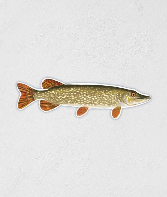 Northern Pike Sticker: Hand-Drawn Waterproof Fishing Decal