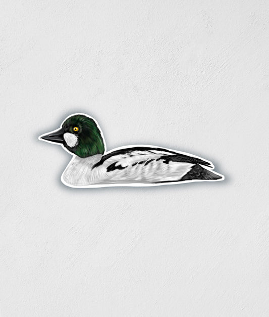 Goldeneye Duck Sticker: Waterproof Vinyl Decal (3.7" x 5.6")