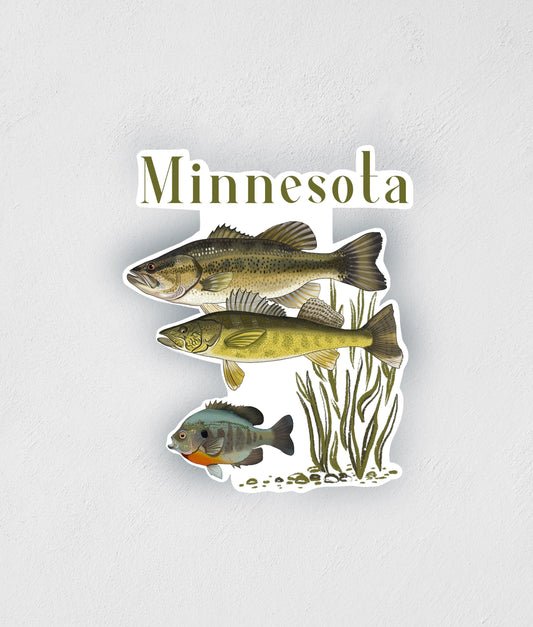 Minnesota Fish Sticker: Waterproof Fishing Decal - Lake Life