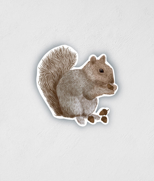Hand-Drawn Squirrel Sticker: Waterproof Wildlife Decal