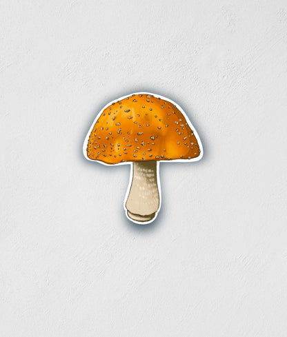 Orange Mushroom Sticker: Waterproof Botanical Decal