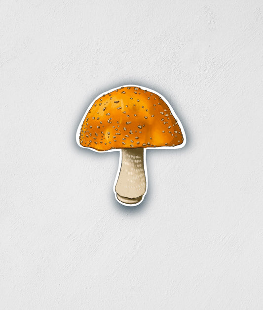Orange Mushroom Sticker: Waterproof Botanical Decal