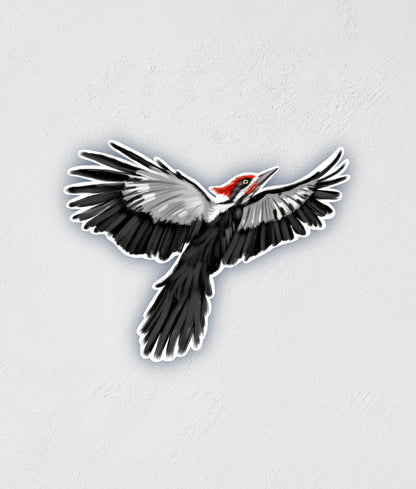 Pileated Woodpecker Sticker | Waterproof | Water Bottle Laptop Sticker | Midwest Bird Decal | Birdwatching | Birthday Gift