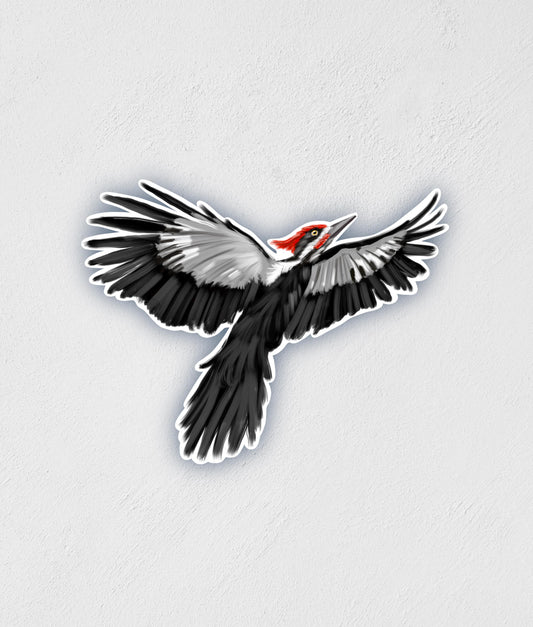 Pileated Woodpecker Sticker | Waterproof | Water Bottle Laptop Sticker | Midwest Bird Decal | Birdwatching | Birthday Gift