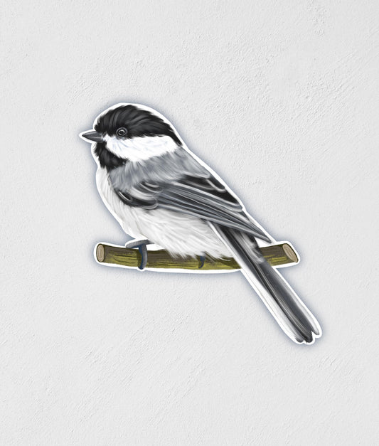 Chickadee Bird Sticker: Waterproof Gloss Decal for Laptop, Car, and Outdoor Gear