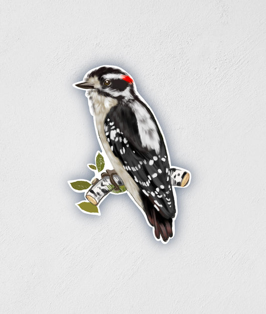 Downy Woodpecker Sticker: Waterproof Bird Decal for Laptop, Car