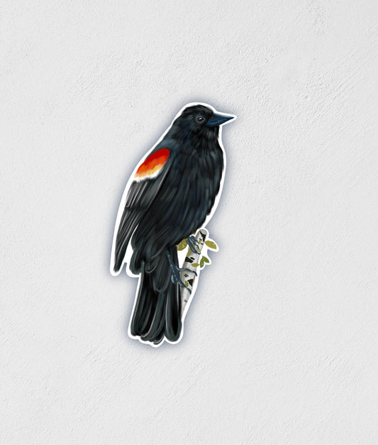 Red Wing Blackbird Sticker: Waterproof Hand-Illustrated Decal