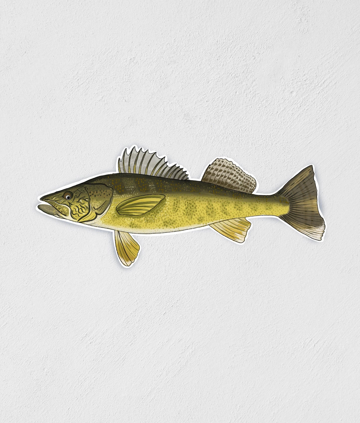 Walleye Fish Sticker: Waterproof Decal for Laptop, Car, Boat