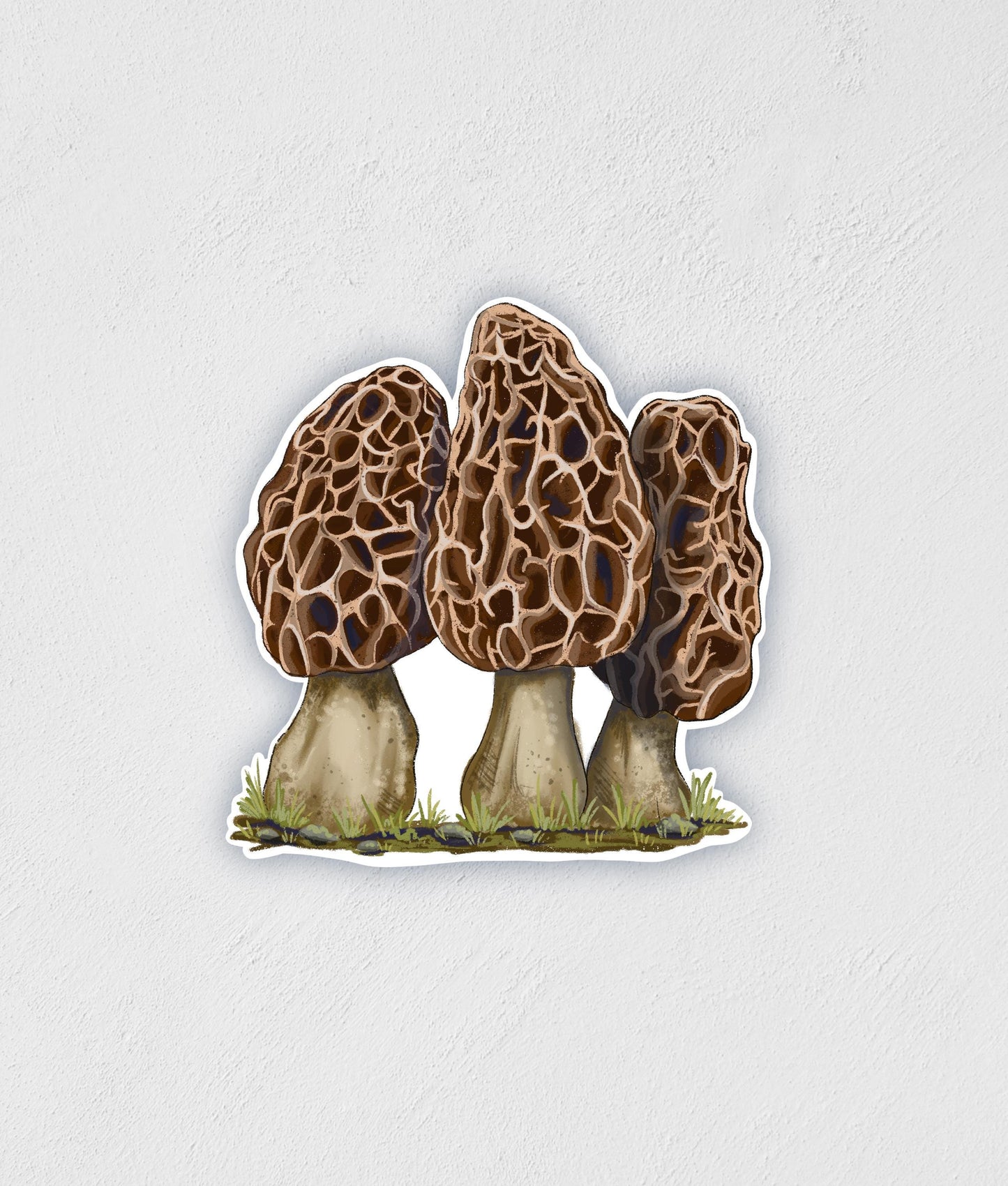 Morel Mushroom Sticker: Waterproof Laptop Water Bottle Decal