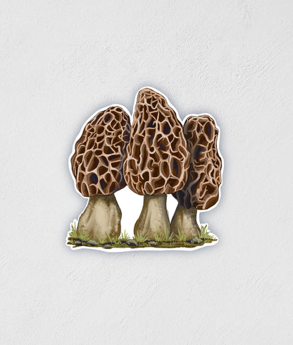 Morel Mushroom Sticker: Waterproof Laptop Water Bottle Decal
