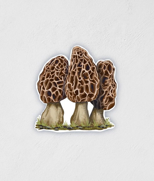 Morel Mushroom Sticker: Waterproof Laptop Water Bottle Decal