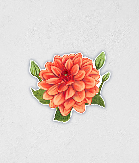 Dahlia Flower Sticker: Waterproof Botanical Decal - Little Rocks Design