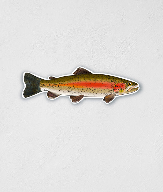 Rainbow Trout Sticker: Waterproof Vinyl Decal for Laptop, Gear