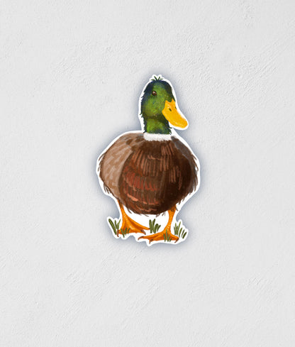 Mallard Walking Sticker | Waterproof | Hand-Drawn Decal | Duck Sticker | Birthday Gift | Little Rocks Design
