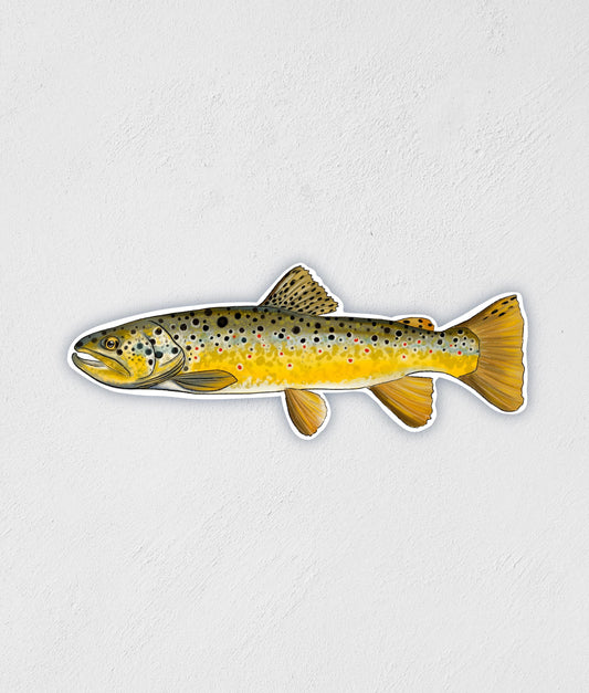 Brown Trout Sticker: Waterproof Hand-Drawn Fish Decal