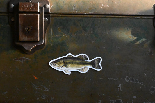 Largemouth Bass Magnet: Hand-Drawn Fisherman Gift