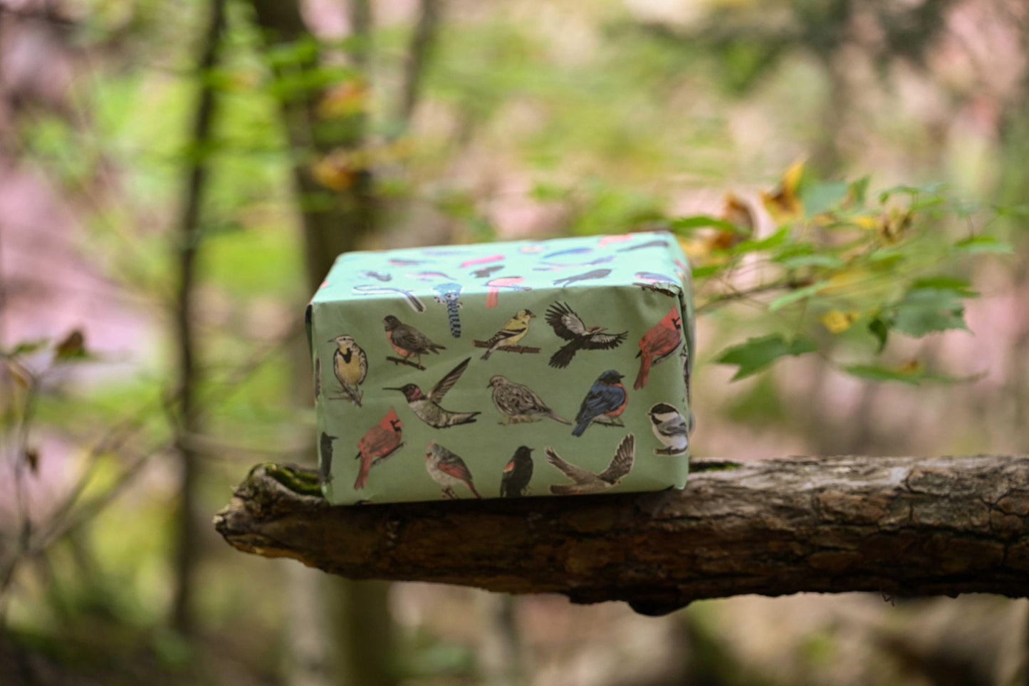 Midwest Birds Gift Wrap: Hand-Drawn Illustrated Wrapping Paper