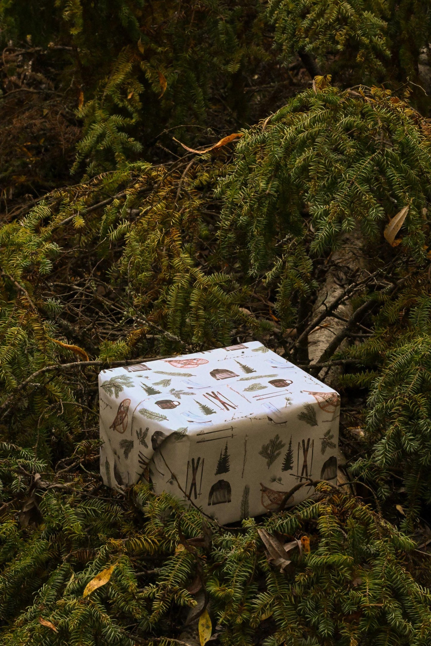 Hand-Drawn Winter Forest Gift Wrap | Holiday Wrapping Paper Sheets