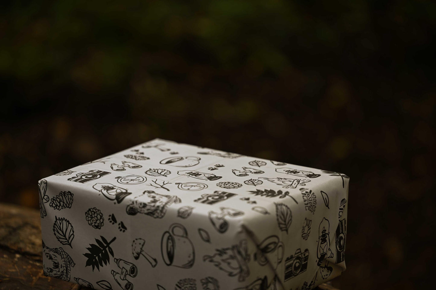 Hand-Drawn Outdoor Explore Gift Wrap: Black & White Wrapping Paper Sheets