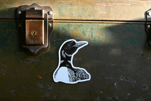 Loon Magnet | Hand-Drawn | Midwest Inspired Magnet | Little Rocks Design | (2.8" x 2.38")