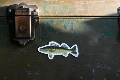 Walleye Magnet | Hand-Drawn | Fisherman Gift | Outdoor Inspired | Little Rocks Design