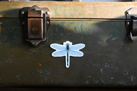 Dragonfly Magnet: Hand-Drawn Design, Little Rocks Design