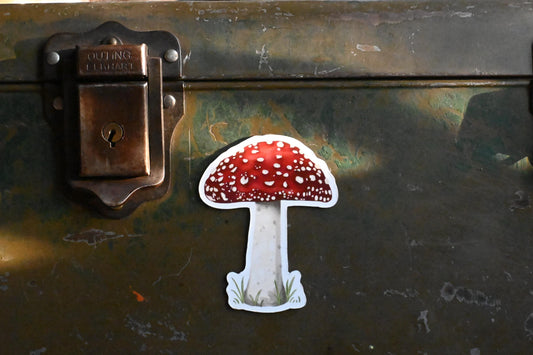 Red Mushroom Magnet: Botanical Design | Hand-Drawn