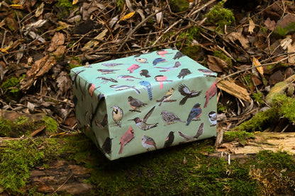 Midwest Birds Gift Wrap: Hand-Drawn Illustrated Wrapping Paper