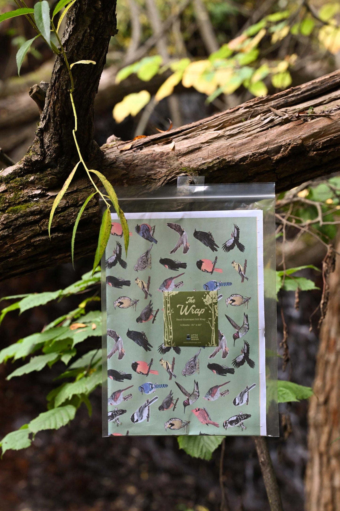 Midwest Birds Gift Wrap: Hand-Drawn Illustrated Wrapping Paper
