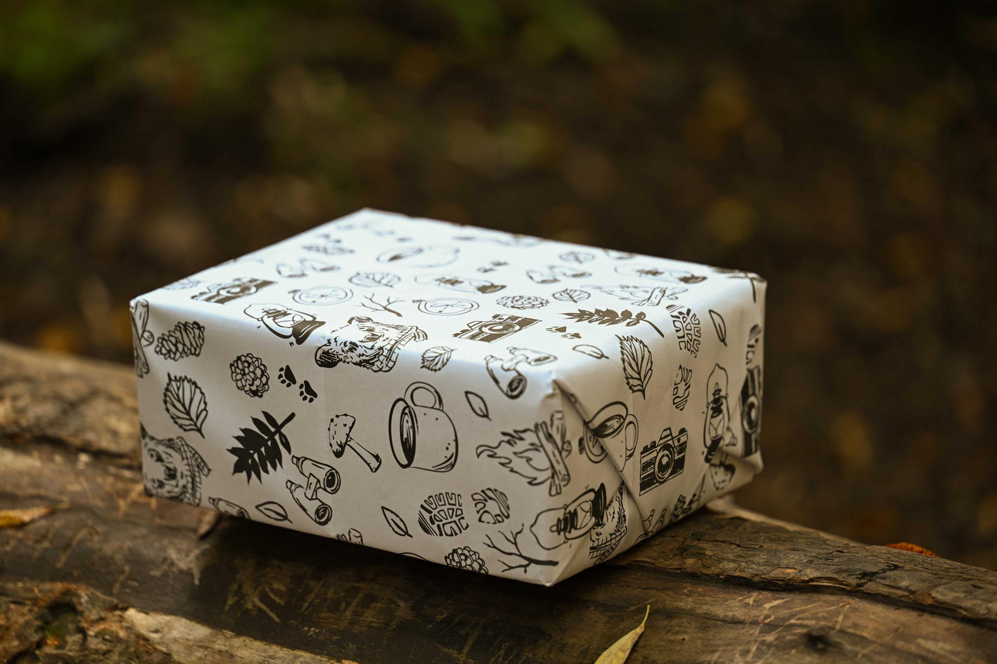 Hand-Drawn Outdoor Explore Gift Wrap: Black & White Wrapping Paper Sheets