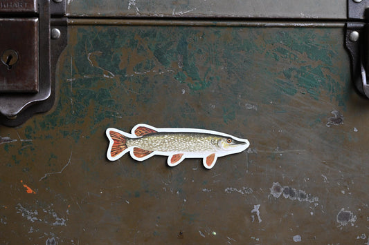 Northern Pike Magnet: Hand-Drawn Fishing Gift