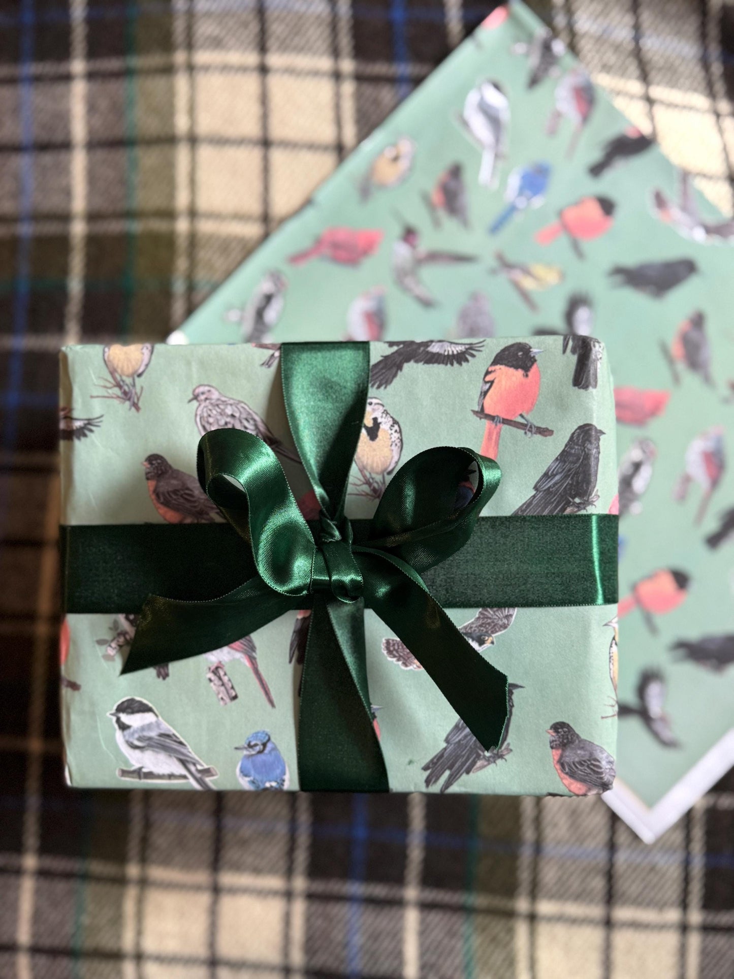Midwest Birds Gift Wrap: Hand-Drawn Illustrated Wrapping Paper