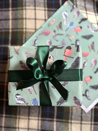 Midwest Birds Gift Wrap: Hand-Drawn Illustrated Wrapping Paper
