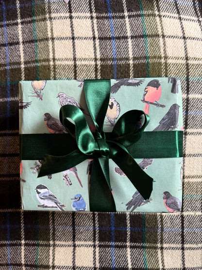 Midwest Birds Gift Wrap: Hand-Drawn Illustrated Wrapping Paper